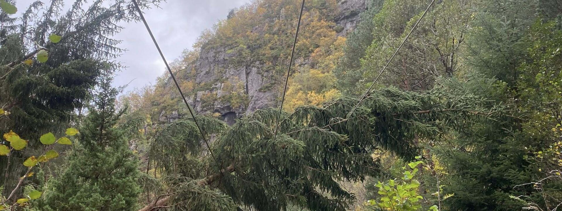 557602121 1359246749535151 4621852230574845573 n